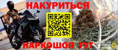 гашик Бийск