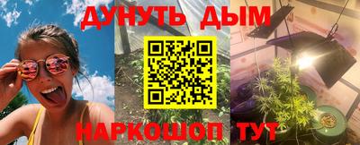 гашик Бийск