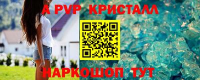 гашик Бийск
