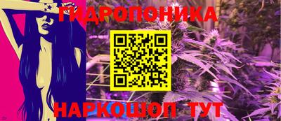 гашик Бийск